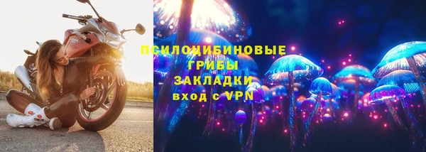 прущая мука Новодвинск