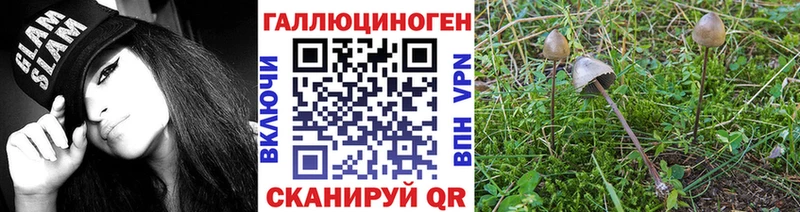 Галлюциногенные грибы Cubensis  кракен зеркало  Чита 